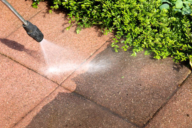 Best Pressure Washing Near Me  in Wilson, OK